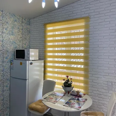 уютная с террасой в центре одессы Apartment