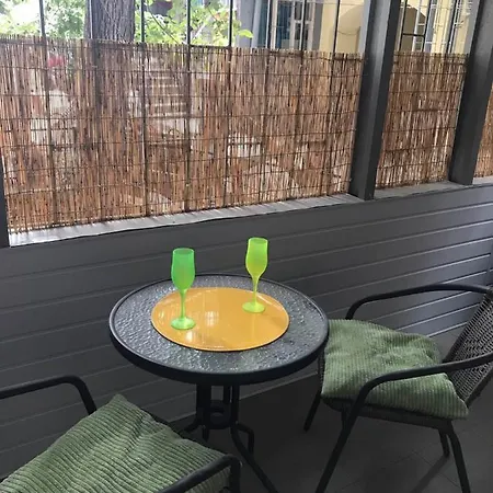 Apartment уютная с террасой в центре одессы